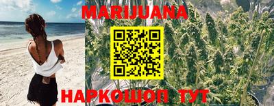 Альфа ПВП Абакан