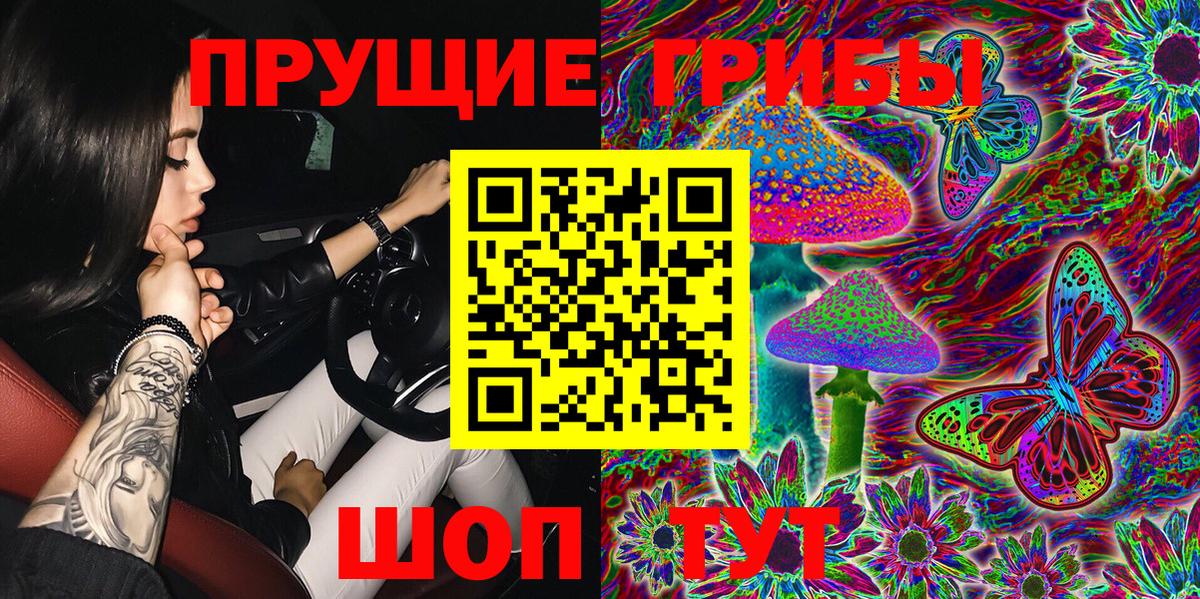 Галлюциногенные грибы Psilocybe  Вход с VPN  купить   Кириши 