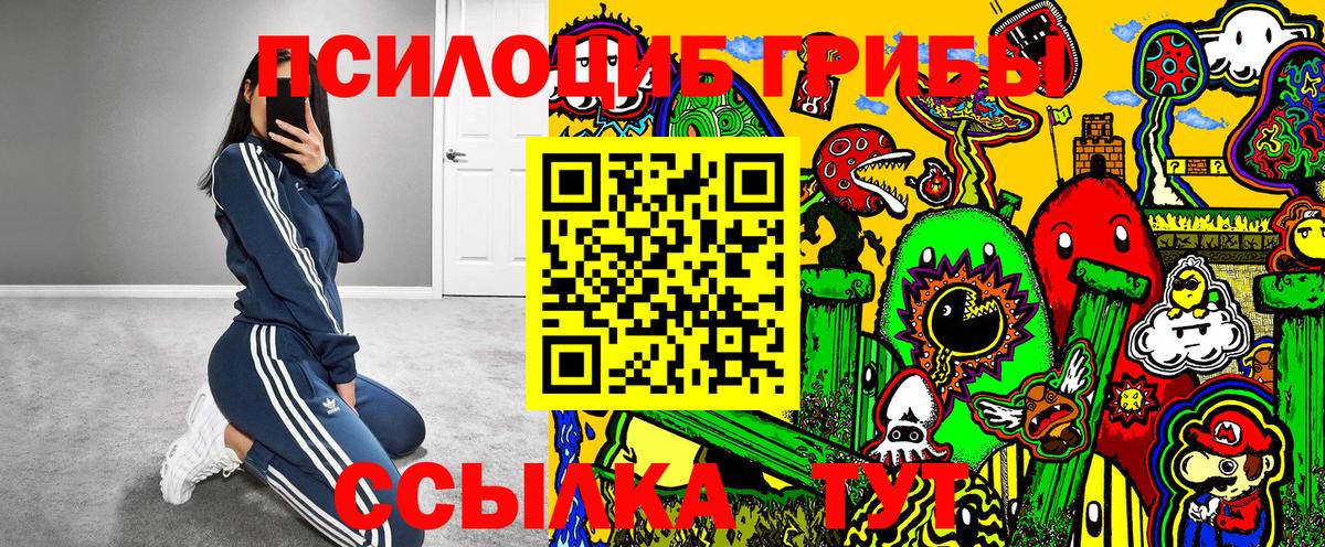 Псилоцибиновые грибы GOLDEN TEACHER Кириши